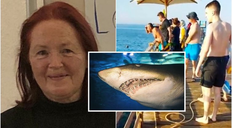 Aiškėja šiurpios detalės apie Egipte ryklio pražudytas moteris: gelbėtojai pasijuokė iš turistų