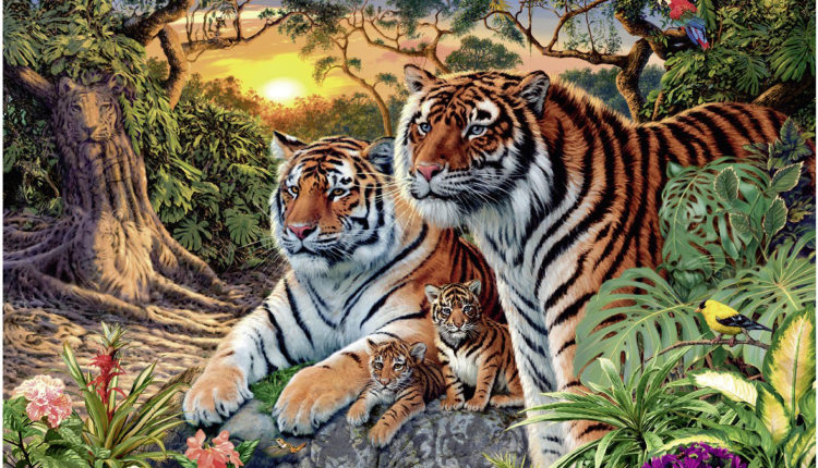 Kiek tigrų galite rasti šiame paveikslėlyje? Greitas IQ